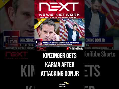 You are currently viewing Kinzinger Gets Instant Karma After Attacking Don Jr #shorts
