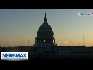 Read more about the article ‘We got fleeced’: Expert breaks down biggest ‘pork’ earmarks in Omnibus spending bill