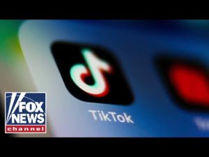 Read more about the article Howard Kurtz: This is our worst nightmare