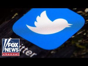 Read more about the article Government delegated its ‘dirty work’ to Twitter: Ramaswamy