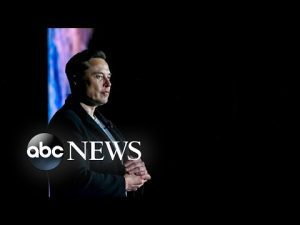 Read more about the article Who will take control of Twitter if Musk steps down l ABC News