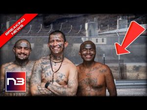 Read more about the article SHOCKING Border Discovery Enables Illegals to DISAPPEAR Into America