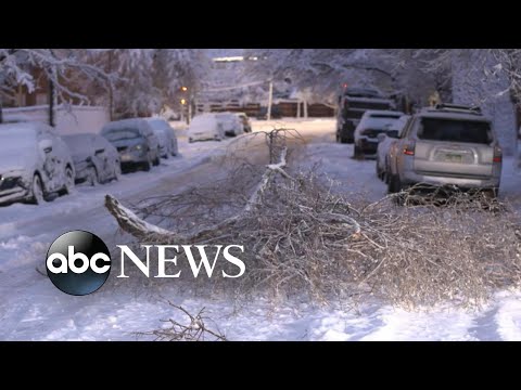 You are currently viewing Denver metro area buried under 12 inches of snow