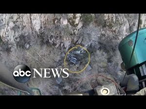 Read more about the article Find My iPhone saves woman after plummeting off cliff
