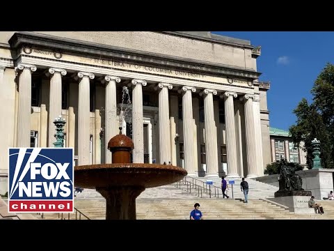 You are currently viewing College’s outrageous cost is a ‘scam’ creating a ‘slow burning crisis’ | Digital Originals