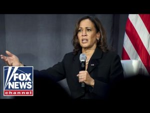 Read more about the article Tomi Lahren: Republicans need to call out Kamala Harris for doing nothing as VP