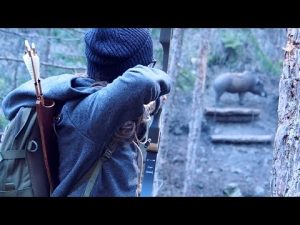 Read more about the article Archery for beginners!