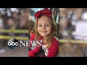 Read more about the article Fed-Ex driver arrested in killing of 7-year-old Athena Strand | GMA