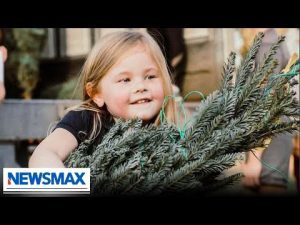 Read more about the article Non-profit selling Christmas trees to help kids