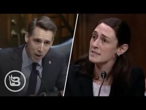 Read more about the article Hawley Leaves Anti-Gun Judicial Nominee STUNNED Using History To Make Her Look Stupid