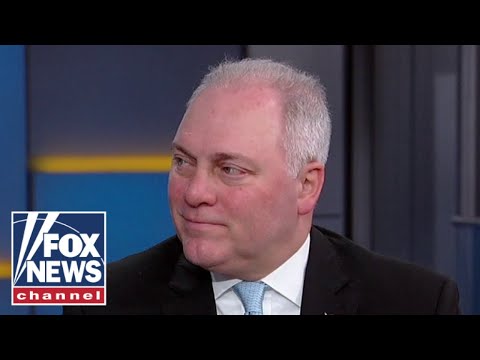 You are currently viewing Rep. Scalise: This is all going to get exposed