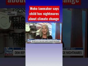Read more about the article Child wakes up with ‘nightmares’ over climate change #shorts