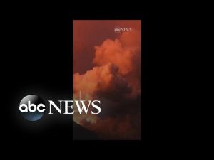 Read more about the article Remarkable footage shows Italy’s Stromboli volcano erupting clouds of ash
