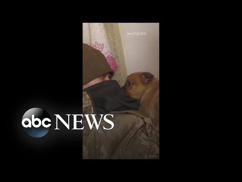 You are currently viewing Ukrainian soldiers rescue 2 puppies from abandoned village
