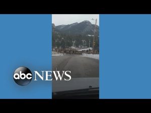 Read more about the article Herd of elk stops drivers in their tracks