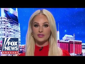 Read more about the article Tomi Lahren breaks down what she hopes will happen under a GOP-controlled House