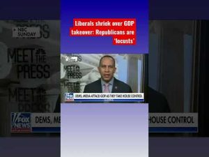 Read more about the article Katie Pavlich: The media isn’t taking new Republican majority very well #shorts