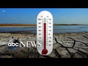 Read more about the article 2022 was 5th-warmest year on record: Experts