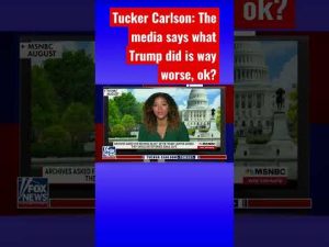 Read more about the article Tucker: Remember when the media had a complete meltdown? #shorts #shortsvideo #shortsfeed