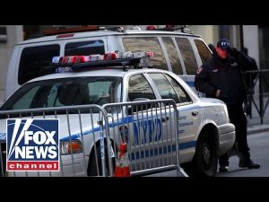 Read more about the article Rookie NYPD cop attacked with machete on first day