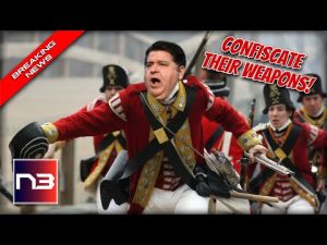 Read more about the article UNREAL! Gun Grabbing Red Coats Enter Illinois As Historic Ban Is Put Into Effect