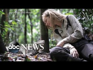 Read more about the article Samantha Zwicker rewilds ocelots in the Peruvian Amazon in ‘Wildcat’