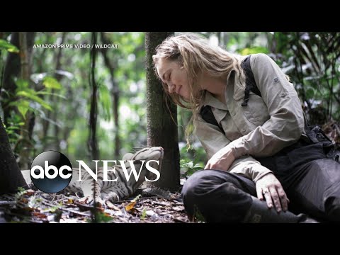 You are currently viewing Samantha Zwicker rewilds ocelots in the Peruvian Amazon in ‘Wildcat’