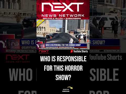 You are currently viewing Who Is Responsible For This Horror Show? #shorts