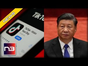 Read more about the article TikTok Security Scare as Another State Steps In!