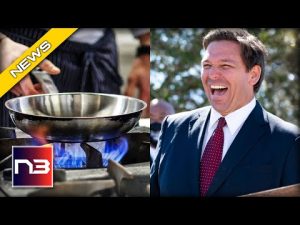 Read more about the article Left Bans Gas Stoves and DeSantis Strikes Gold?!