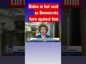 Read more about the article Democrats scorch Biden’s latest scandal #shorts #shortsfeed #shortsvideo