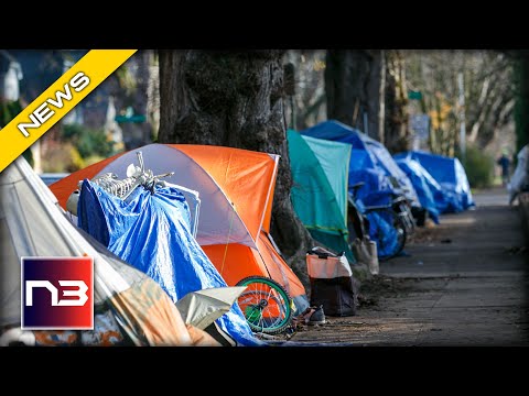 You are currently viewing Crisis Worsens in Asheville: Local Homeless Camps Scorch City With Massive Trash Mountains!