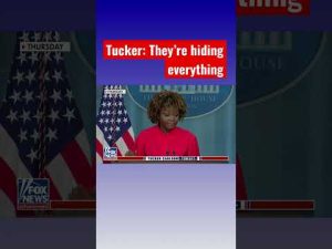 Read more about the article Tucker: This is clearly an effort to undermine Biden by his own party #shorts #shortsvideo