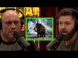 Read more about the article The Company Trying to Clone Woolly Mammoths