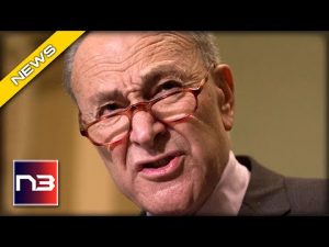 Read more about the article Sparring Match! Schumer Struggles with CNN Over Biden Scandal