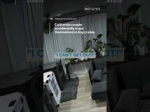 Read more about the article California couple accidentally traps themselves in dog crates | ABC News
