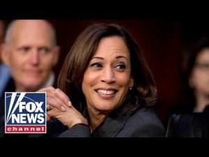 Read more about the article Kamala Harris ripped over ‘missed opportunity’ at border