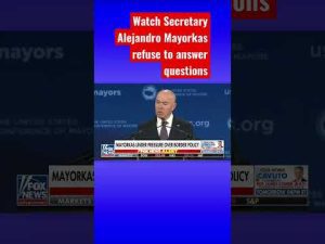 Read more about the article Fox News presses Mayorkas over potential impeachment #shorts