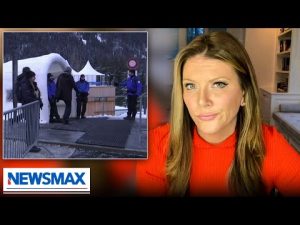 Read more about the article Trish Regan: The WEF’s most obvious irony