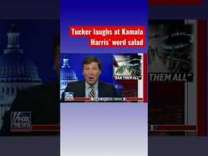 Read more about the article Tucker roasts Kamala Harris: You can’t even get the rats out of Penn Station! #Shorts