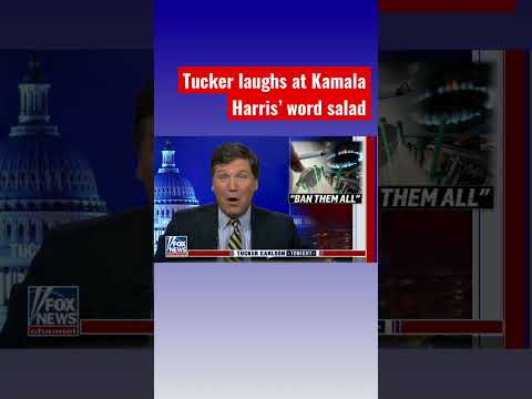 You are currently viewing Tucker roasts Kamala Harris: You can’t even get the rats out of Penn Station! #Shorts