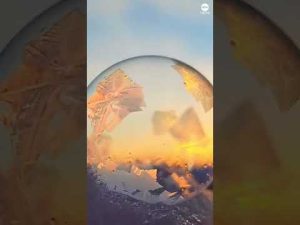 Read more about the article Ice crystals form pattern on freezing bubble