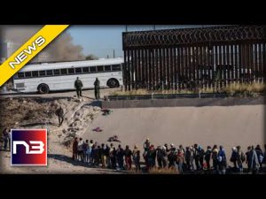 Read more about the article Texas on Alert! Staggering Amount of Immigrants Just Entered State