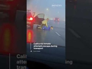 Read more about the article California inmate attempts escape during transport | ABC News