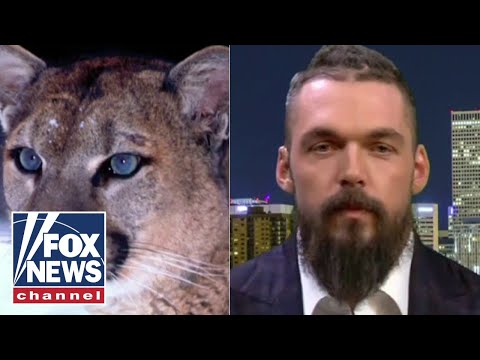 You are currently viewing Ex-NFL player takes down mountain lion with bow and arrow