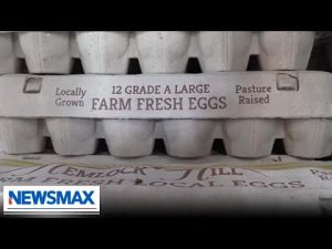 Read more about the article Egg prices SOAR across America, especially in Florida: REPORT