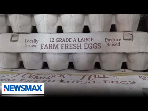 You are currently viewing Egg prices SOAR across America, especially in Florida: REPORT