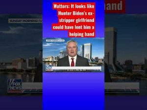 Read more about the article Jesse Watters: Was Hunter Biden’s baby mama moving docs? #shorts