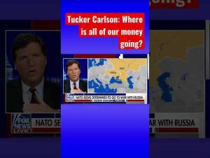 Read more about the article Tucker exposes top Ukrainian officials who were ‘too corrupt’ for Zelenskyy #shorts