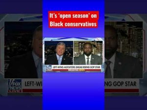 Read more about the article We are ‘narrative busters’ to liberals: Rep. Byron Donalds #shorts #blm